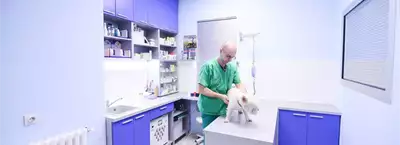 Pet Friend - Veterinary Clinic