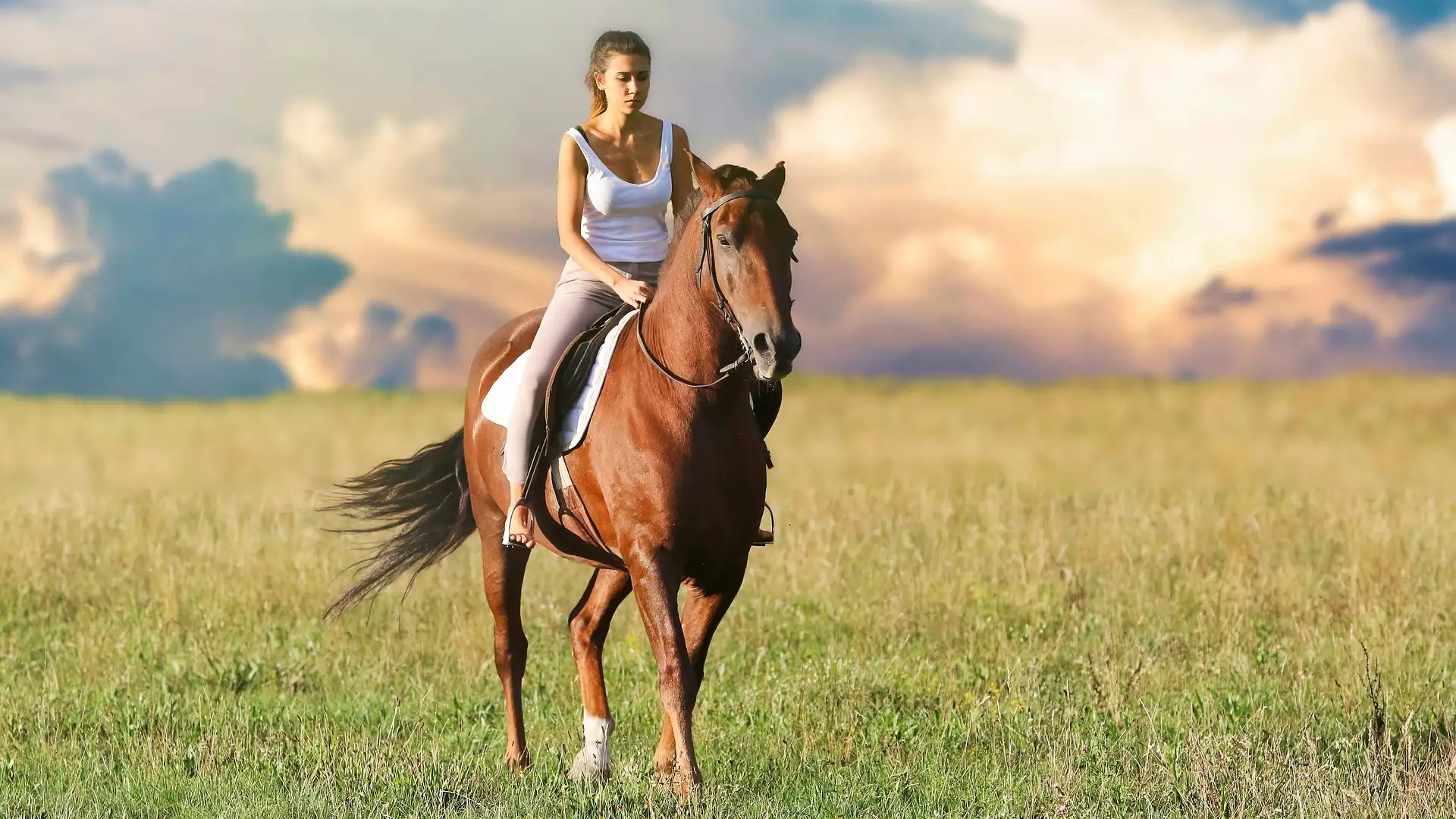 slika kategorije Horseback Riding
