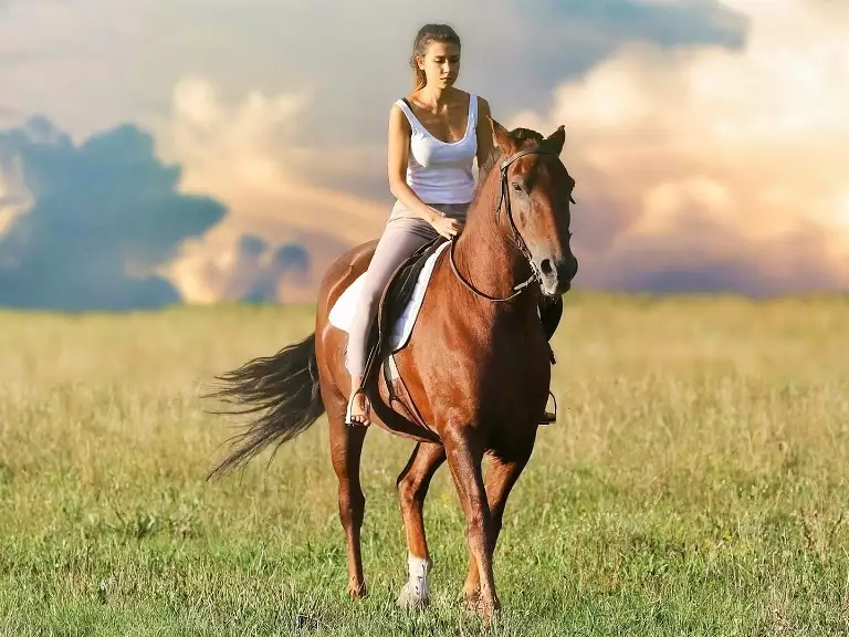 slika kategorije Horseback Riding