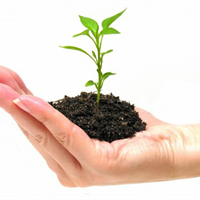 Internet marketing i optimizacija sajta Envie