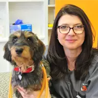 Pas, Mačka i... - Veterinary Clinic