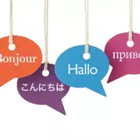 BEPS Translations - Translation Services