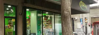 Toyzzz - Toy Store