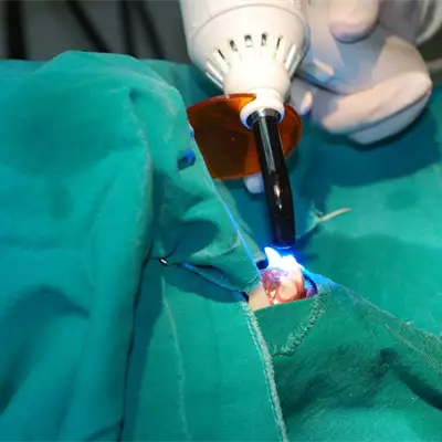 Veterinarska ambulanta Pas