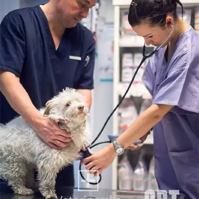 Veterinarska stanica Lazarević