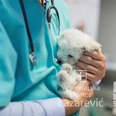 Veterinarska stanica Lazarević