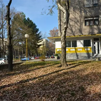 Zidart slika 3