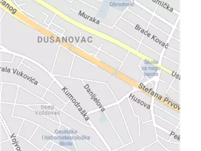 Trifunović - Special Surgical Hospital Surgery 