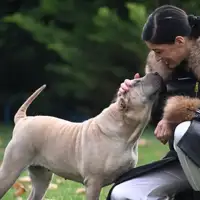 Casa Dell Intimo - Underwear and Lingerie Store