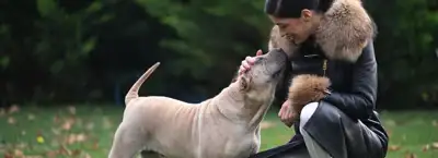 Casa Dell Intimo - Underwear and Lingerie Store