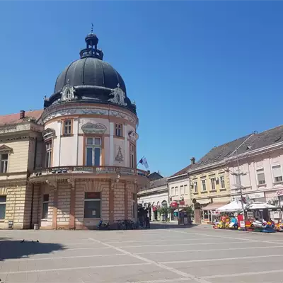 Gligorije Vozarević slika 1