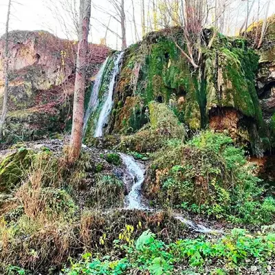 Bigar slika 1