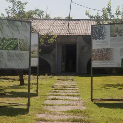 Arheološko nalazište Vinča