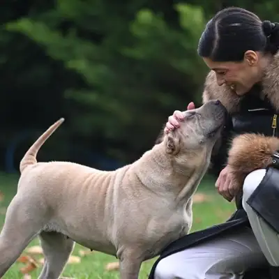 Casa dell intimo kožne jakne