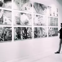 5 najboljih umetničkih galerija u Beogradu!
