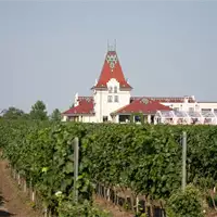 Vinarija Zvonko Bogdan - Wine Growing