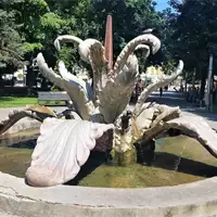 Fontana Kameni cvet