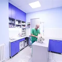 Pet Friend - Veterinary Clinic