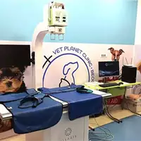 Vet Planet - Veterinary Clinic