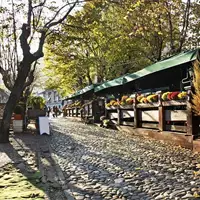 Skadarlija Bohemian Quarter - Tourist Attraction
