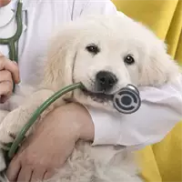 Veterinarska ambulanta Marlo-Pet