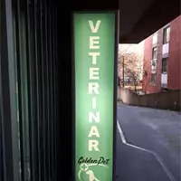 Golden Pet - Veterinary Clinic