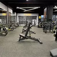 Mega Gym Central - Fitness Center