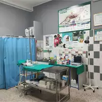 Veterinarska ambulanta Vet Med Home