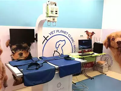 Veterinarska klinika Vet Planet Clinic