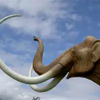 Mammoths | Natural Heritage of Serbia