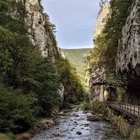 Jerma Canyon - Hidden Magic from People | Where to Go for a Trip?!