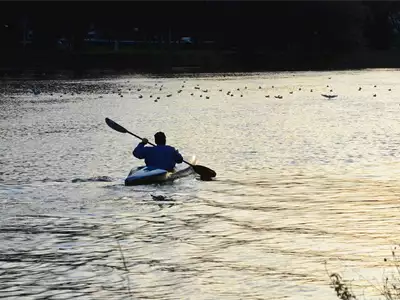 Dunavska regata | Turistički kalendar Srbije