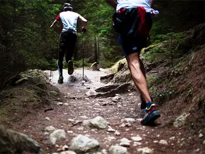 Fruška Gora Marathon | Tourist Calendar of Serbia