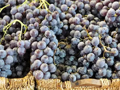 Župa Harvest in Aleksandrovac | Tourist Calendar of Serbia