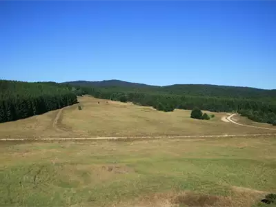 Kučaj Mountains - An "Island" of Untouched Nature | Where to Go for a Trip?!