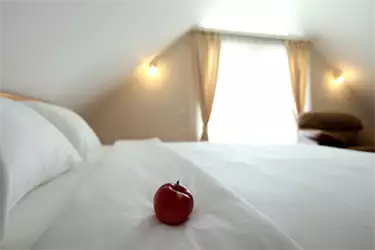 Hotel Novella Uno - soba sa francuskim ležajem 3