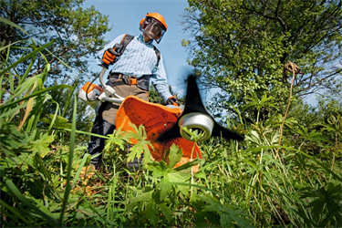 STIHL