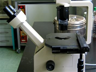 Laboratorija Inep