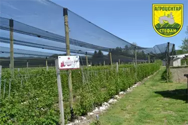 Agrocentar Stefan