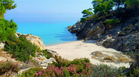 Turistička agencija Astra Travel