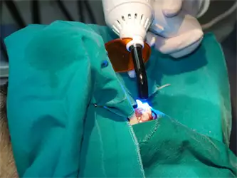 Veterinarska ambulanta Pas
