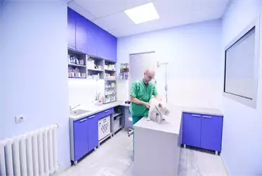 Veterinarska ordinacija Pet Friend