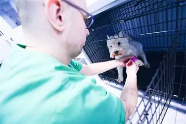 Veterinarska ordinacija Pet Friend