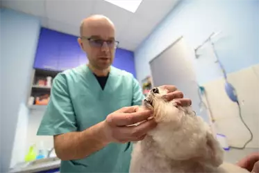 Veterinarska ordinacija Pet Friend