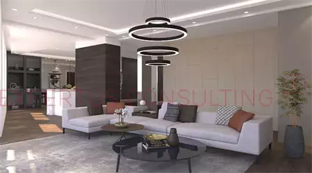 Expertus consulting