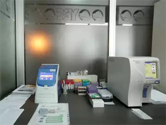 Dr Maja Ilić lečenje kućnih ljubimaca