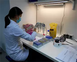 DNK prenatalna dijagnostika
