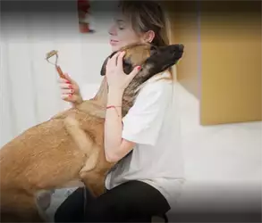 Adora Pet Spa & Concept