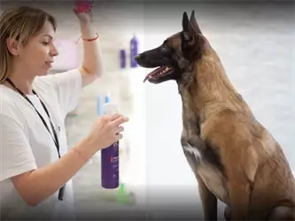 Nega i šišanje pasa Adora Pet