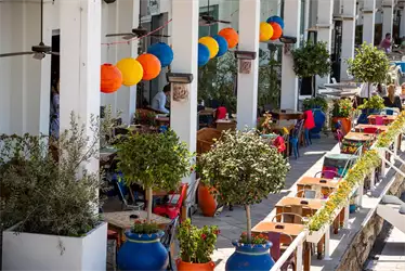 Cantina de Frida